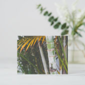 メキシコの竹 ポストカード (スタンド正面)