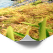 メキシコの風の神トゥルム遺跡のビュー ポスター (角)