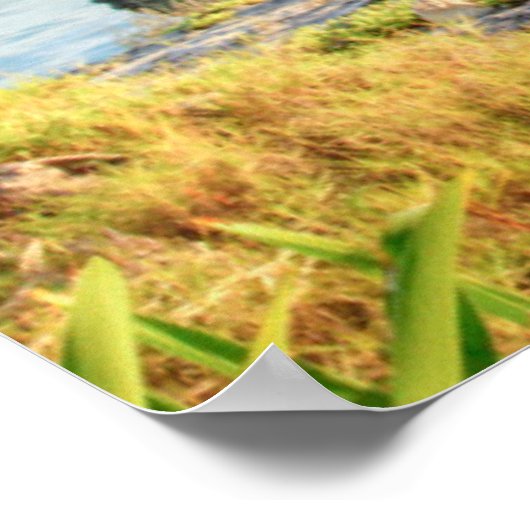 メキシコの風の神トゥルム遺跡のビュー ポスター (角)