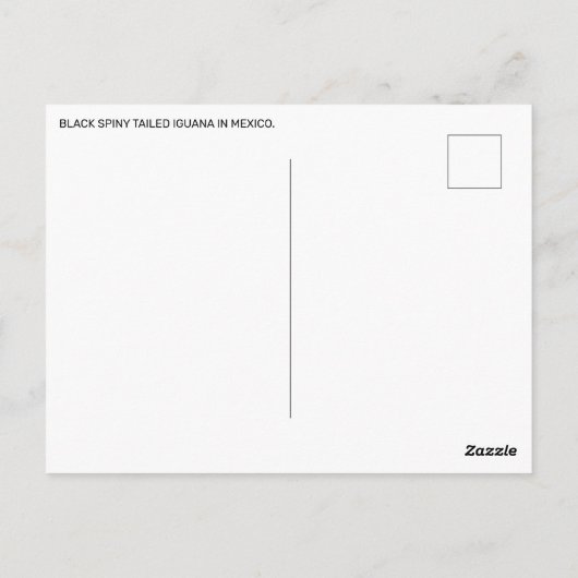 メキシコの黒のとげのある尾のイグアナ ポストカード (裏面)