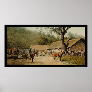 メキシコのHacienda 1890カウボーイズ ポスター