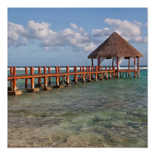 メキシコガゼボ ポスター (正面)