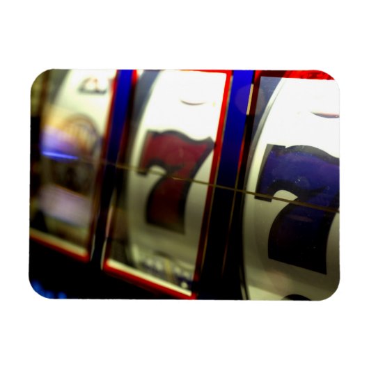 メキシコクルーズ。プリンセスクルーズドーンプリンセス3 マグネット (横)