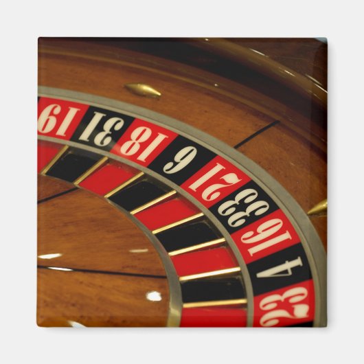 メキシコクルーズ。プリンセスクルーズドーンプリンセス5 マグネット (正面)