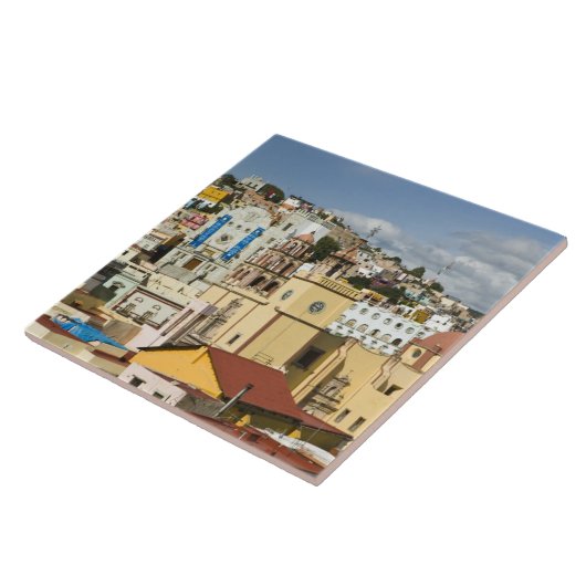 メキシコグアナフアト州グアナフアトバシリカ タイル (側面)