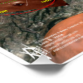 メキシコシティスターの地図 ポスター (コーナー)