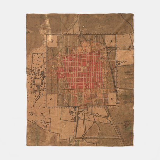 メキシコシティメキシコ(1800年)のヴィンテージの地図 フリースブランケット (正面)