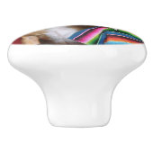 メキシコチワワの装飾的な引出しのノブ セラミックノブ (側面)