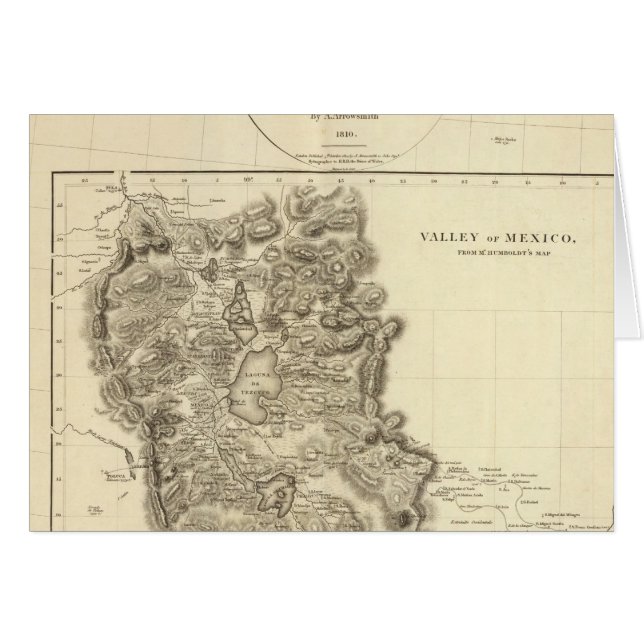 メキシコバレー2 (正面横)