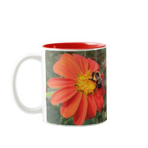 メキシコヒマワリおよび蜂