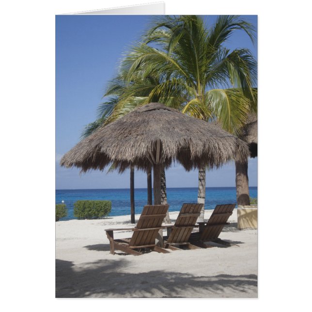 メキシコビーチ楽園 (正面)