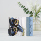 メキシコビーチ、フロリダ州ポストカード ポストカード (スタンド正面)