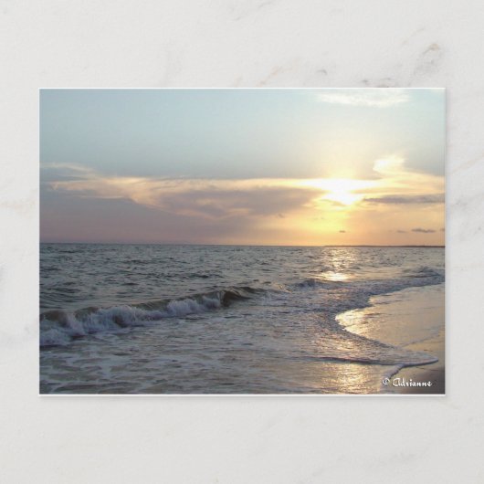 メキシコビーチ、フロリダ ポストカード (正面)