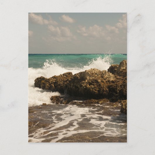 メキシコビーチ ポストカード (正面)