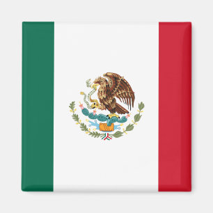 メキシコフラグマグネット2 マグネット