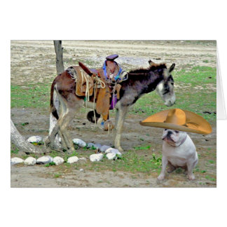 メキシコブルドッグ