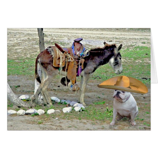 メキシコブルドッグ (正面横)