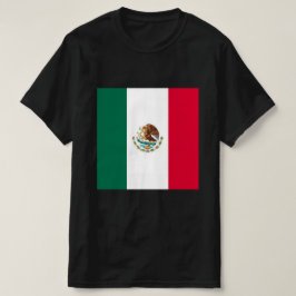 メキシコプライド #2 メンズTシャツ Tシャツ