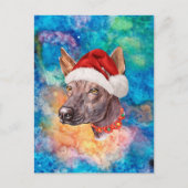 メキシコヘアレス犬のクリスマス シーズンポストカード (正面)