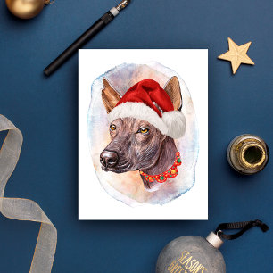 メキシコヘアレス犬グッズ クリスマスプレゼント シーズンポストカード