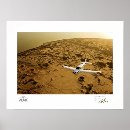 メキシコボナンザギャラリー ポスター (正面)