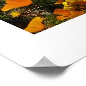 メキシコポピー – フランクリンマウンテン州パーク2 ポスター (角)