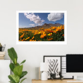 メキシコポピー – フランクリンマウンテン州パーク2 ポスター (ホームオフィス)