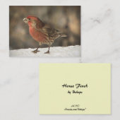 メキシコマシコATC 名刺 (正面/裏面)