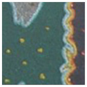 メキシコマヤのアステカな女神の民族の種族の芸術Boho ファブリック (クローズアップ)