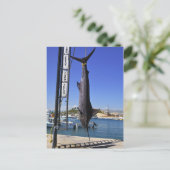 メキシコマーリン ポストカード (スタンド正面)