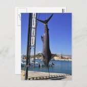 メキシコマーリン ポストカード (正面/裏面)