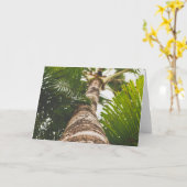 メキシコヤシの木下方から カード (黄色い花)