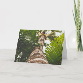 メキシコヤシの木下方から カード