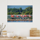 メキシコリオラガートス ポスター (キッチン)