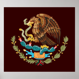 メキシコワシ ポスター
