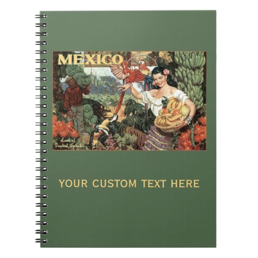 メキシコヴィンテージ旅行ノート ノートブック (正面)