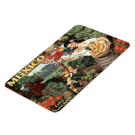 メキシコヴィンテージ旅行磁石 マグネット (左側)