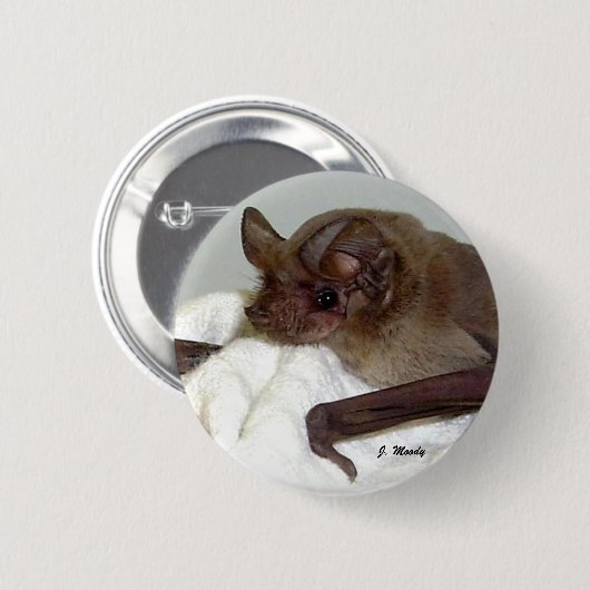 メキシコ人によって自由後につかれるこうもり 缶バッジ (正面&裏面)