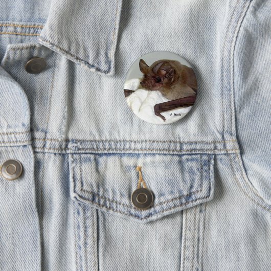 メキシコ人によって自由後につかれるこうもり 缶バッジ (インサイチュ)