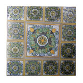 メキシコ人のタラベラのスタイルのタイル タイル (正面)