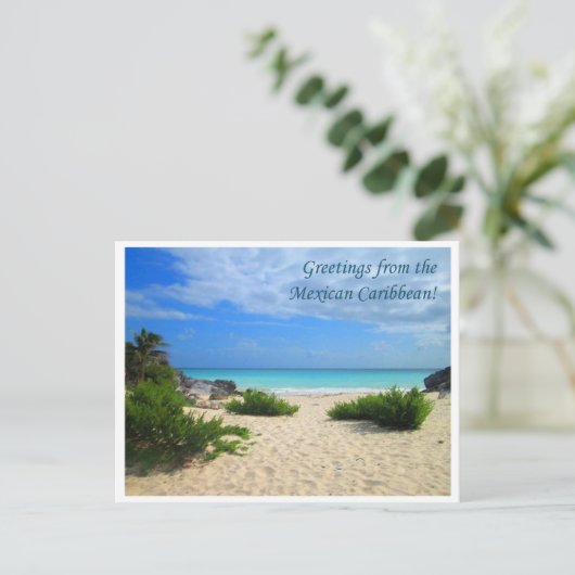 メキシコ人の挨拶カリブの! ポストカード (スタンド正面)