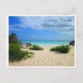 メキシコ人の挨拶カリブの! ポストカード (正面)