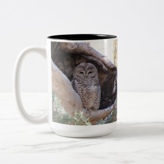 メキシコ人は離れ扱われたフクロウのマグに斑点を付けました ツートーンマグカップ (左)