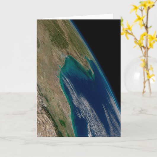 メキシコ北部。 カード (黄色い花)