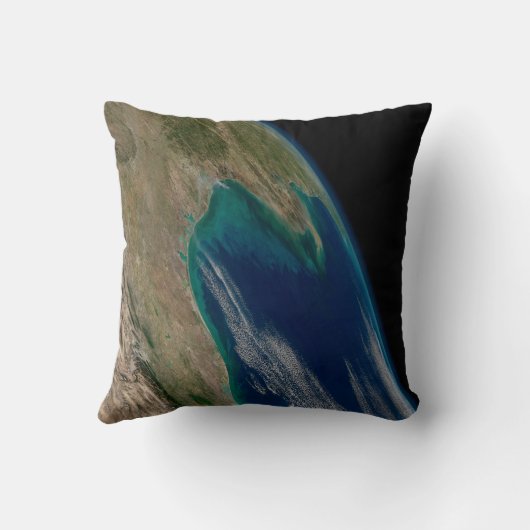 メキシコ北部。 クッション (裏面)