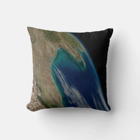 メキシコ北部。 クッション (正面)