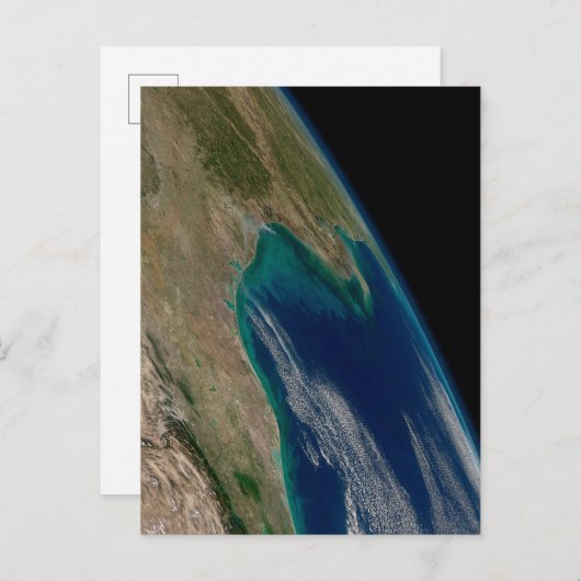 メキシコ北部。 ポストカード (正面/裏面)