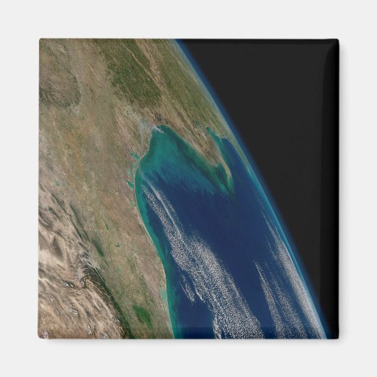 メキシコ北部。 マグネット (正面)