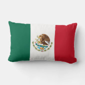 メキシコ国旗で色を変えた夢 ランバークッション (裏面)