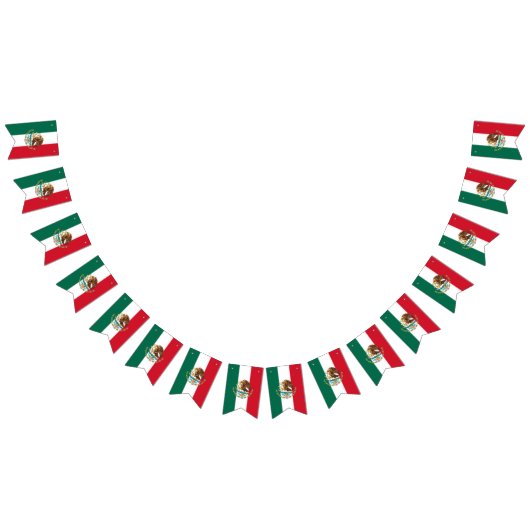 メキシコ国旗とパーティーメキシコのバナー/結婚式 バンティングフラッグ (全)
